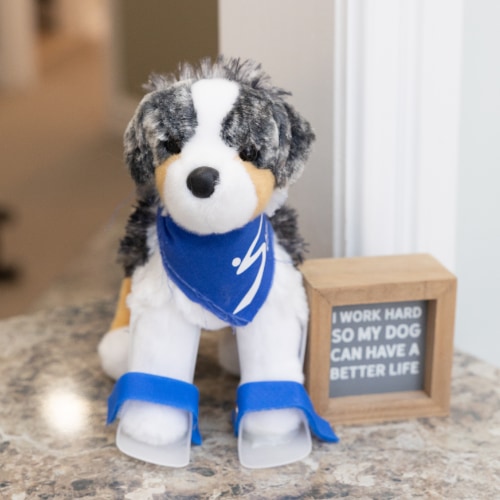 Toy stuffed dog