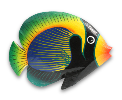 Colorful fish